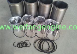 Weifang Diesel Engine Parts of 295/495/4100/4105/6105/6113/6126